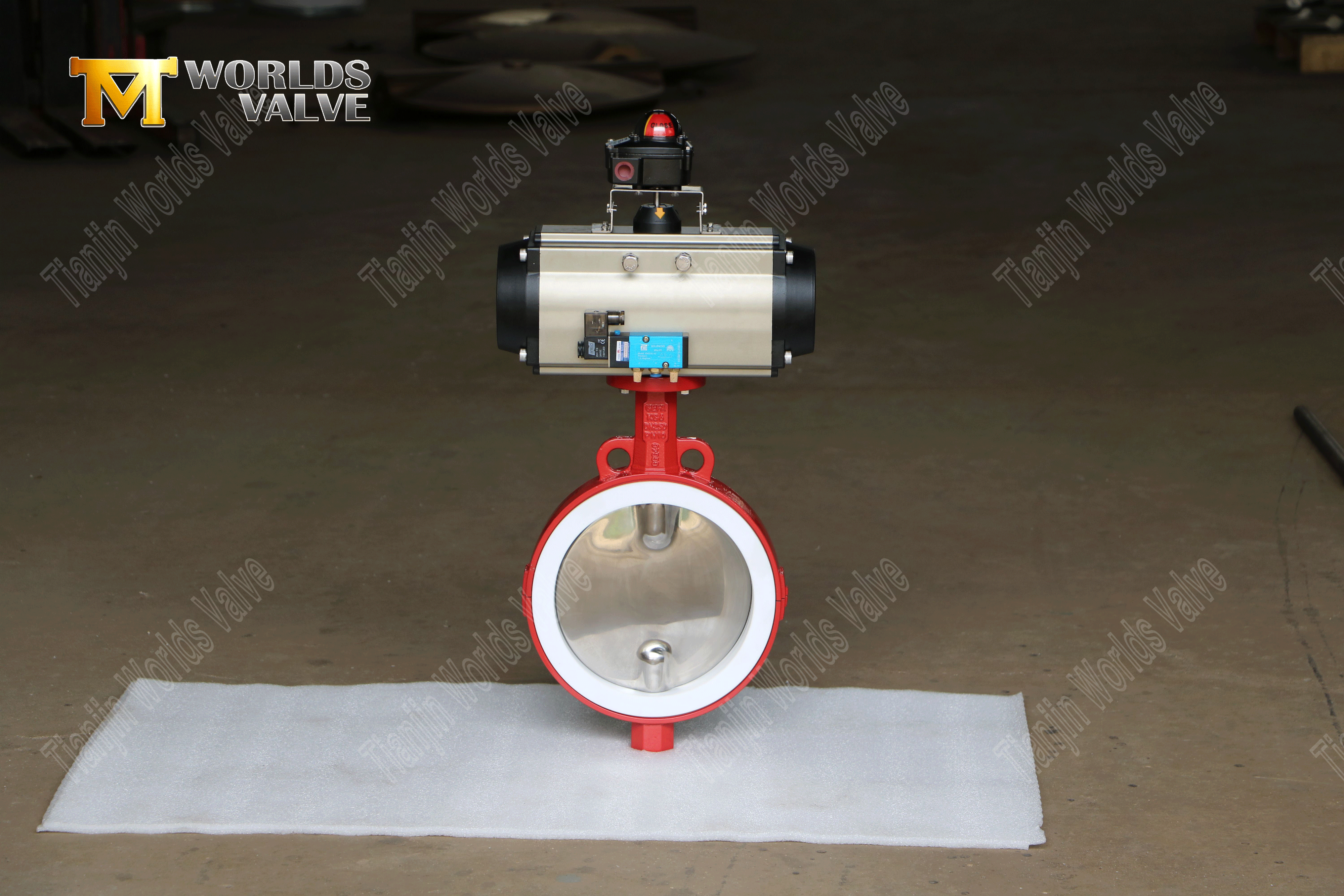 PTFE Lined Butterfly Valve with Polished Disc and Pneumatic Actuator-1 (4)