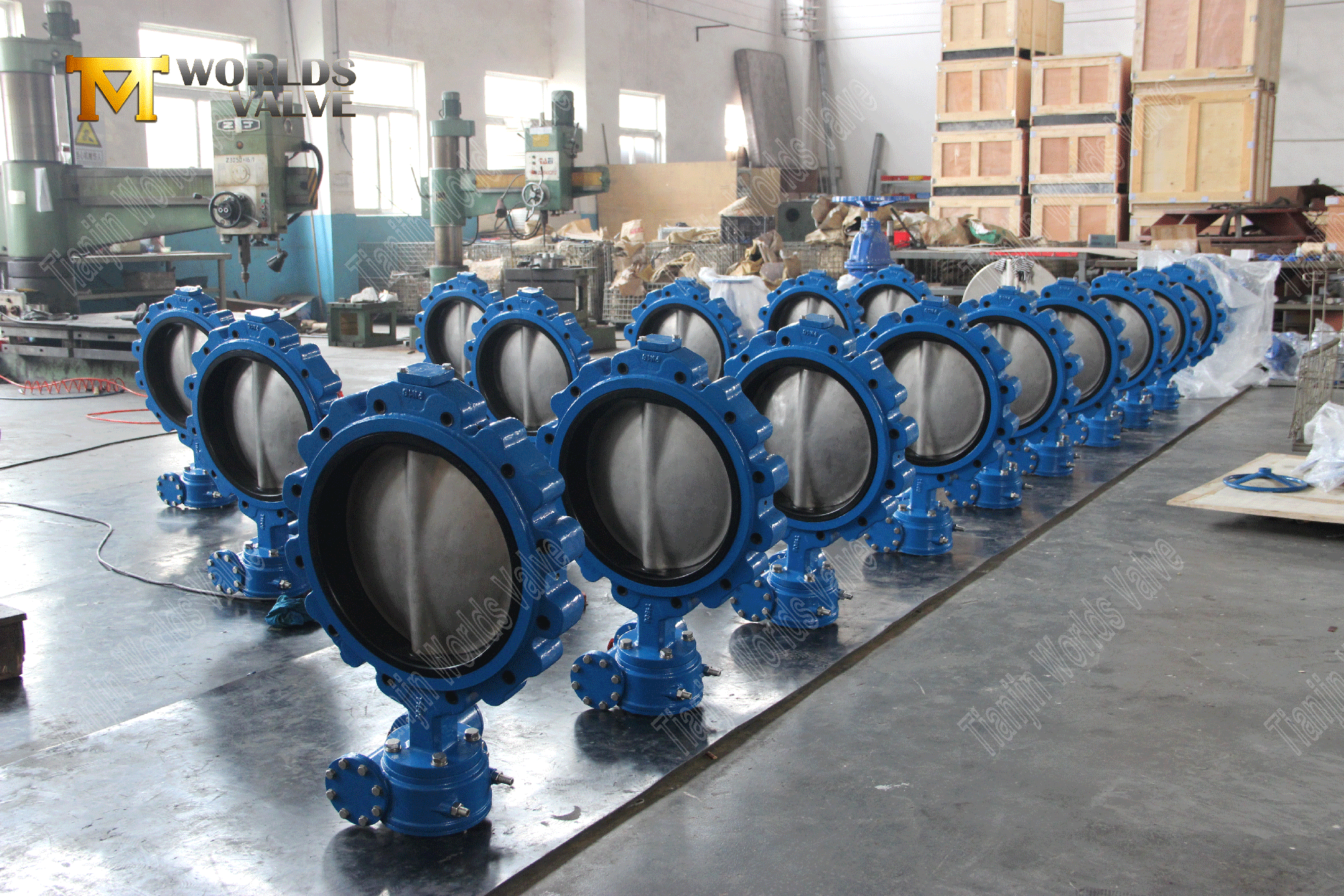 EPDM Seat DI Lug Butterfly Valve With Worm Gear