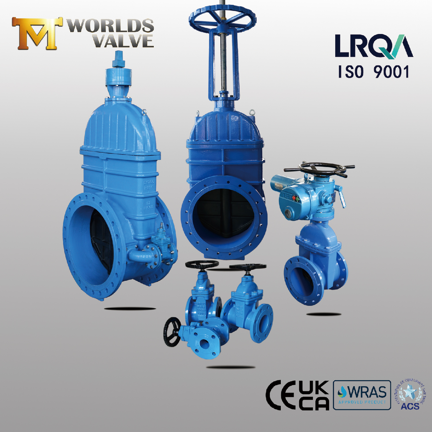 Resilient Seated Gate Valves