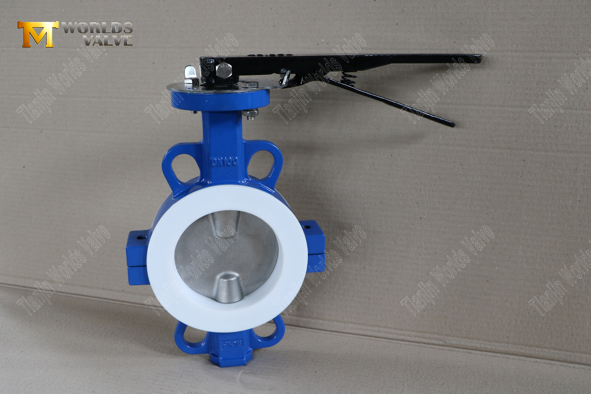 DN100-Teflon-Lined-Wafer-Split-Body-Butterfly-Valves--Corrosion-Resistant-Flow-Control-(1)