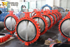 Tapped and Full lugged Butterfly Valves Rubber EPDM FKM NBR Resilient seated 