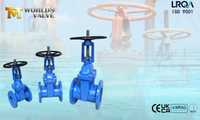//ikrorwxhnjoklo5p-static.micyjz.com/cloud/ljBprKiklmSRklqnjnokiq/resilient-seat-rising-stem-gate-valves-BS.jpg