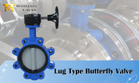 //ikrorwxhnjoklo5p-static.micyjz.com/cloud/ljBprKiklmSRllklplojiq/Lug-Type-Butterfly-Valve.jpg