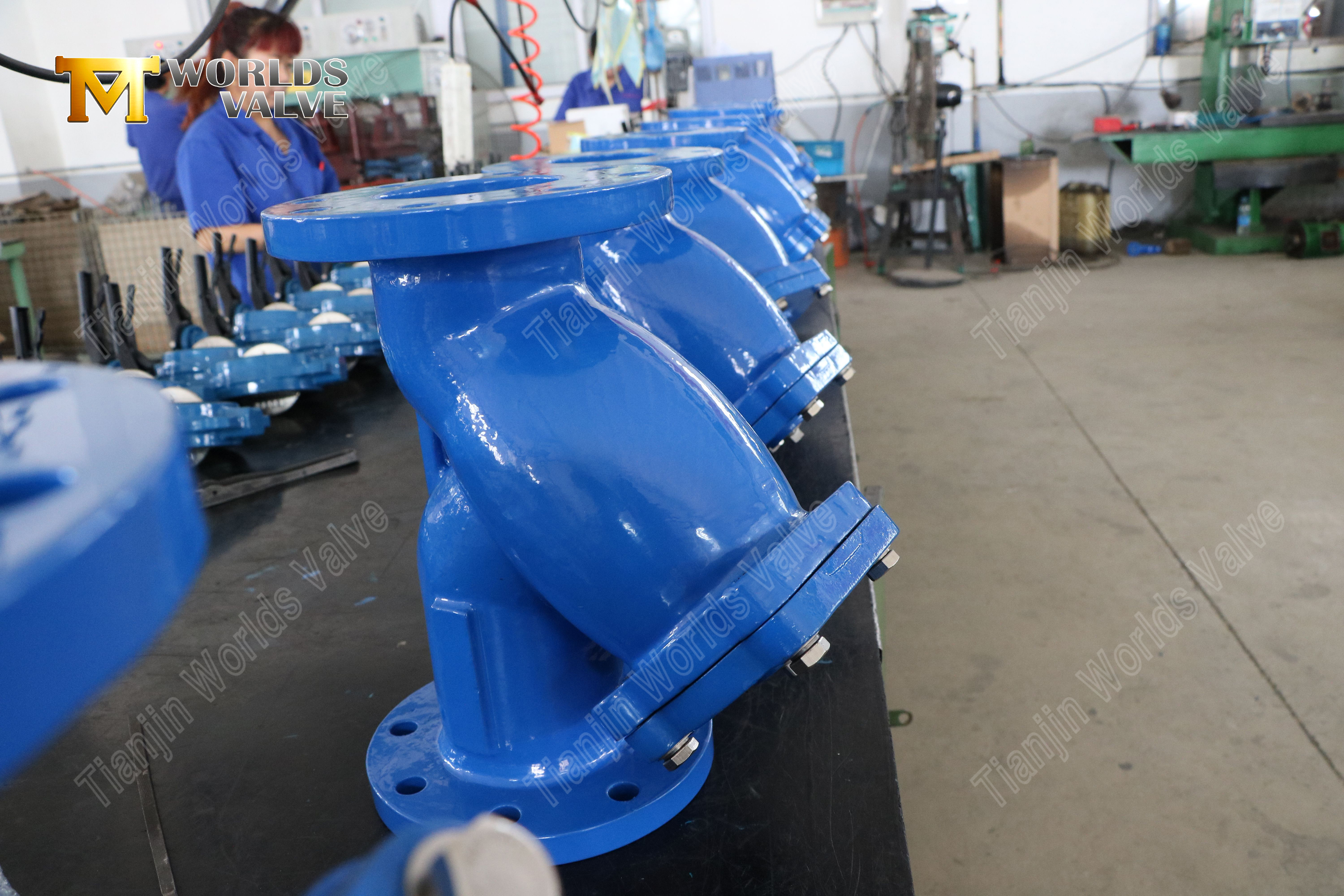 Ductile Iron Y Strainer Flanged Table E PN16-2