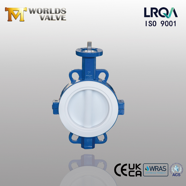 PTFE Lined Seat & Disc Wafer Butterfly Valve for Ultimate Corrosion Resistance Solution offered by China OEM Valve Manufacturer