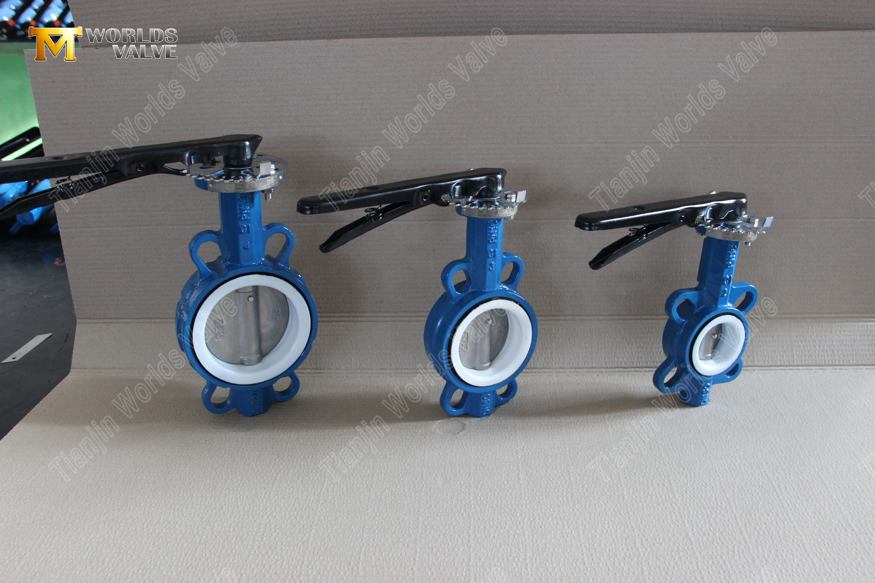CF8M-Disc-&-PTFE-Seat-Wafer-Butterfly-Valve-with-Hand-Lever-Operation-8