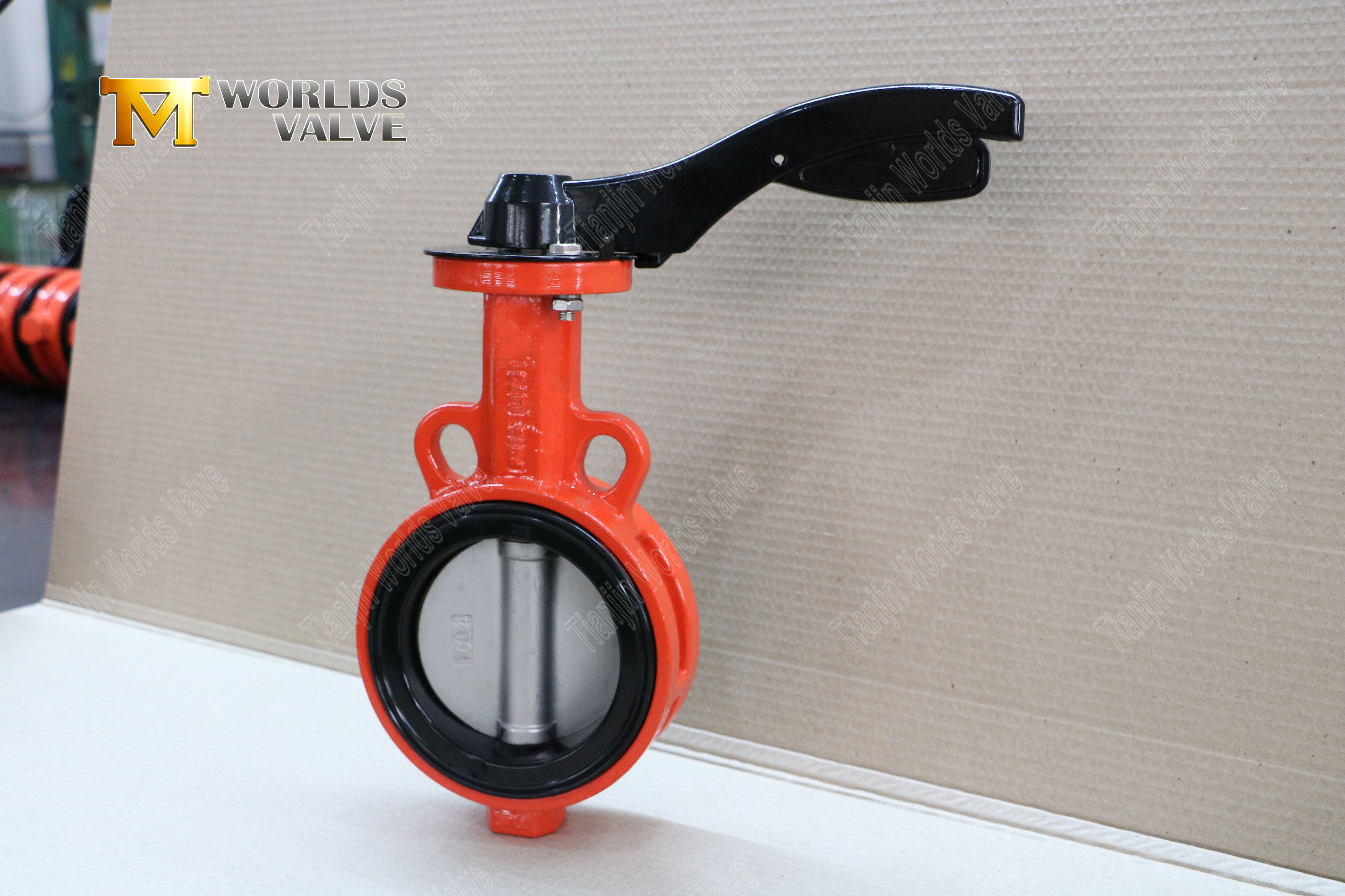 Butterfly Valve Suppliers - SS Disc Wafer Butterfly Valve with Hand Lever (3)