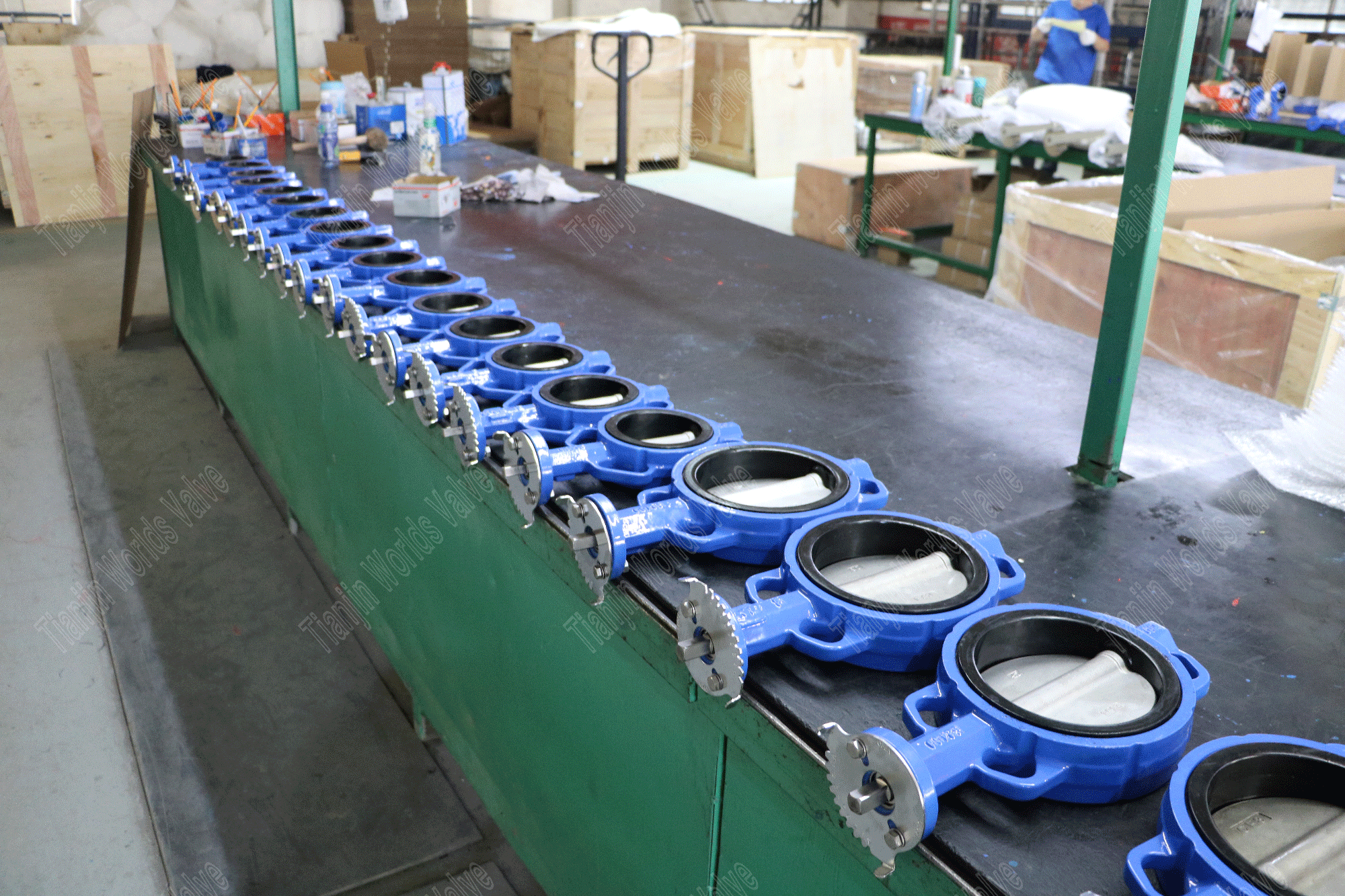 rubber lined wafer butterfly valve with SS disc (4)