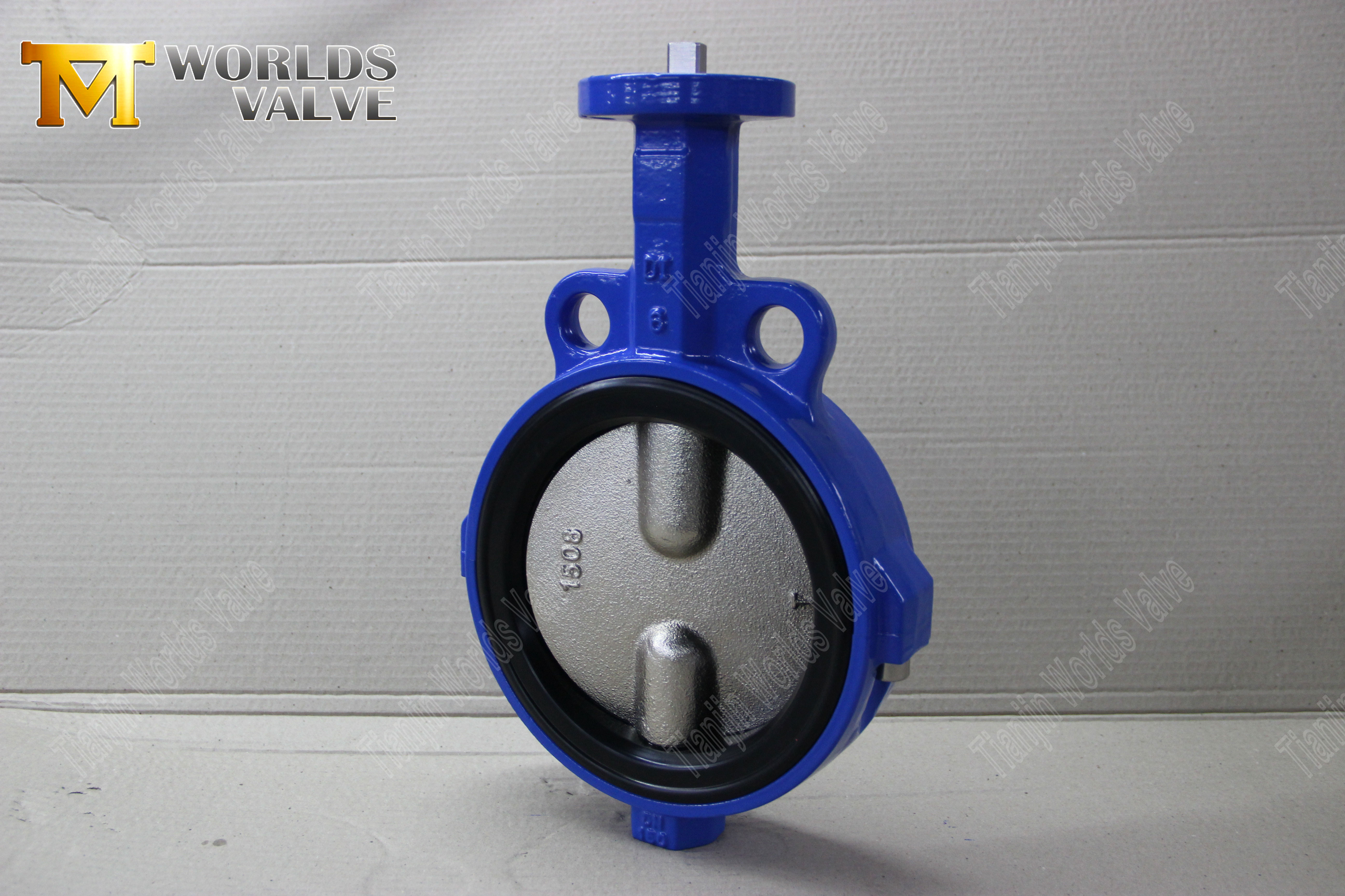 Wafer Butterfly Valve Manufacturers - Wafer Butterfly Valves with DI Valve Body and Disc (2)