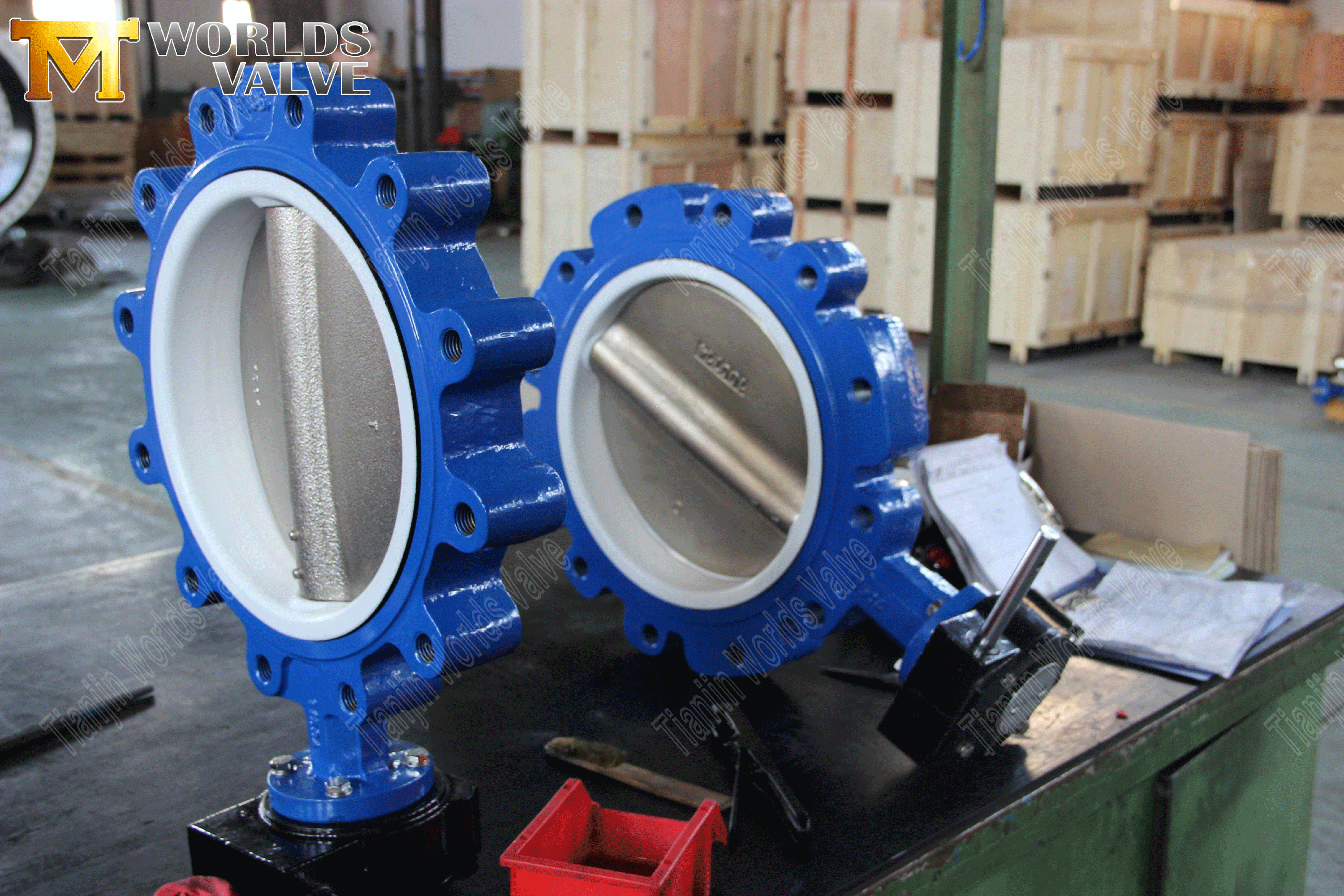 Concentric Butterfly Valve Manufacturers-lug Type Butterfly Valve with Lever Handle (3)