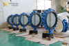  Lugged And Tapped Butterfly Valve with Drilled Holes