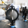 Wafer Butterfly Valve: Replaceable EPDM Seat offered by China OEM Valve Supplier-Tianjin Worlds Valve Co., Ltd.