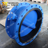  AwwaC515 FBE Epoxy Coated Disc Double Flange Butterfly Valve