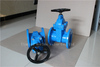  ACS Approved BS5163 Resilient Rubber Gate Valve