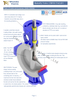 PTFE Lining Wafer Type Butterfly Valve for Corrosive Medium