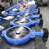 Class150 Rubber Coated Liner Disc Butterfly Valve