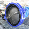 U Section Double Flanged Butterfly Valve with Stainless Steel Disc