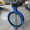 Nylon Painting Rubber Butterfly Valves Class125 Class150 PN10 PN16 JIS10K JIS5K