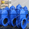 Ductile Iron Rubber Gate Valve for Drinking Portable Water