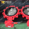 Stainless Steel Cast Ductile Iron Lugged Butterfly Valve with Double Stem Two Pieces Shaft