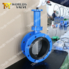 Extension long stem Double Flange Butterfly Valve with Gear Operator