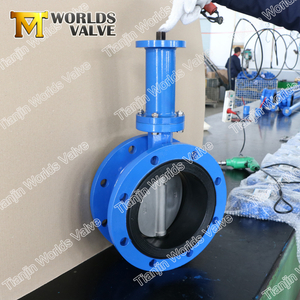 Extension long stem Double Flange Butterfly Valve with Gear Operator