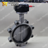 SAF2205 SAF2507 1.4529 1.4469 1.4408 stainless steel butterfly valve