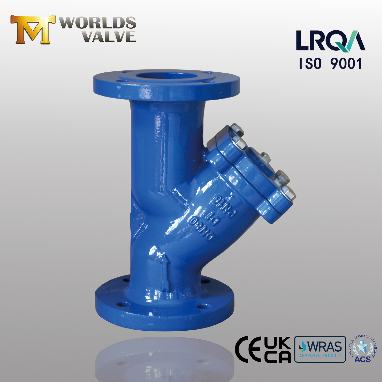 DN80 Y Type Strainer | Ductile Iron Body | Flanged Connection | Industrial Pipeline Protection
