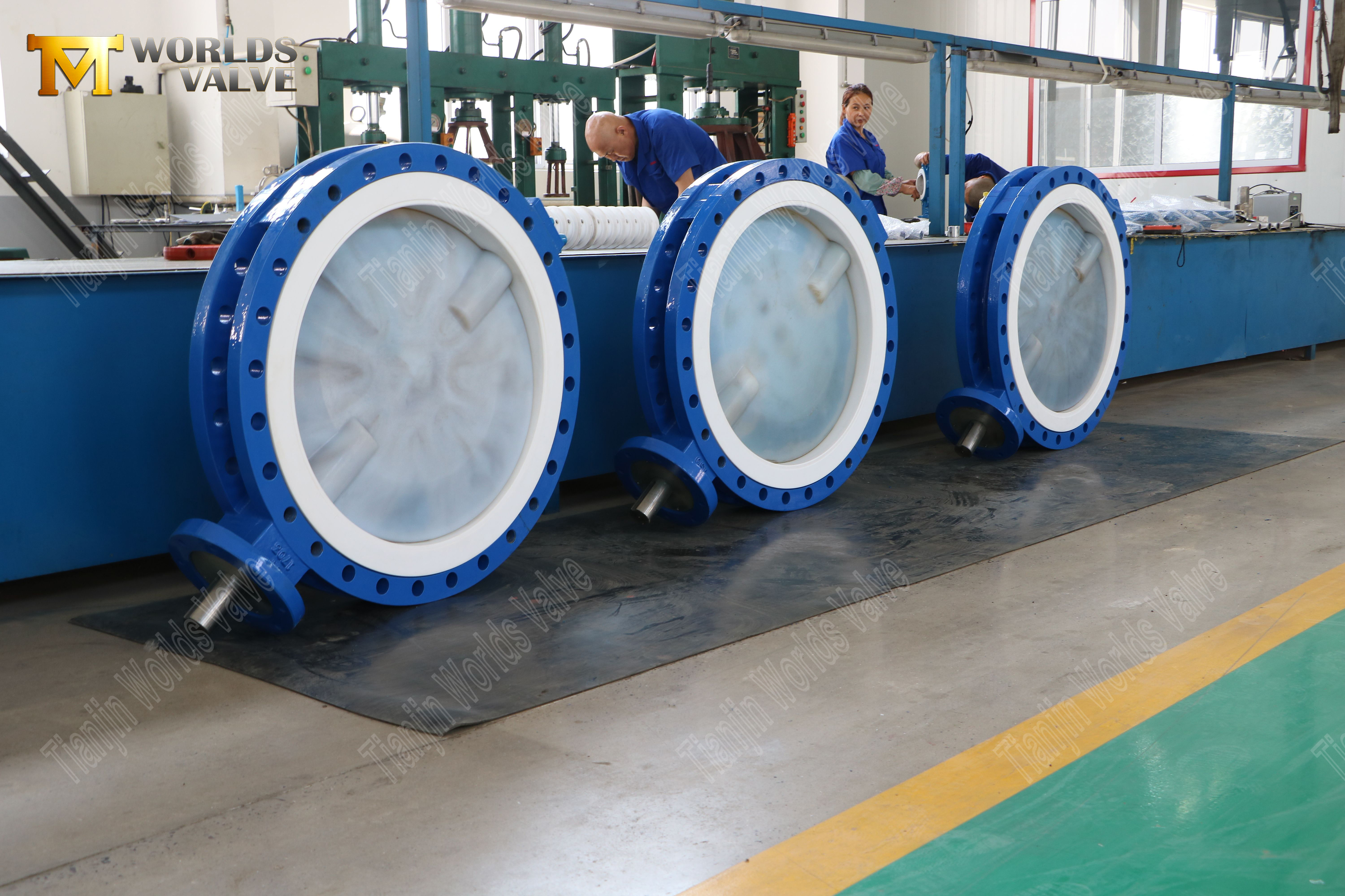 PFA Butterfly Valve for Chemical Service 150LB, PTFE Seat, Gear Operated (7)