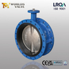 18" Double Flanged Butterfly Valve with Super Duplex Disc and Vulcanized Rubber Seat | ISO 5211 Top Flange