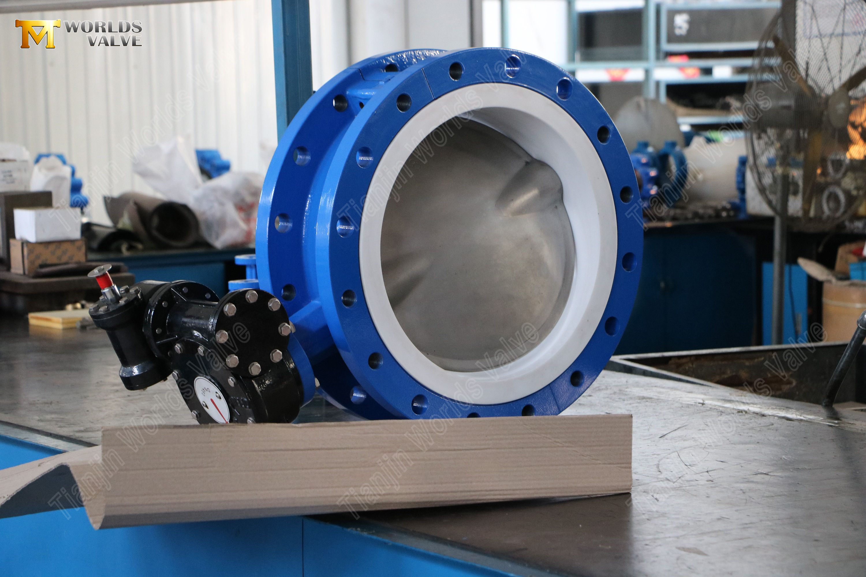 Flanged-Butterfly-Valve-with-PTFE-Seat-and-CF8M-Disc--Split-Body-Design-1.jpg