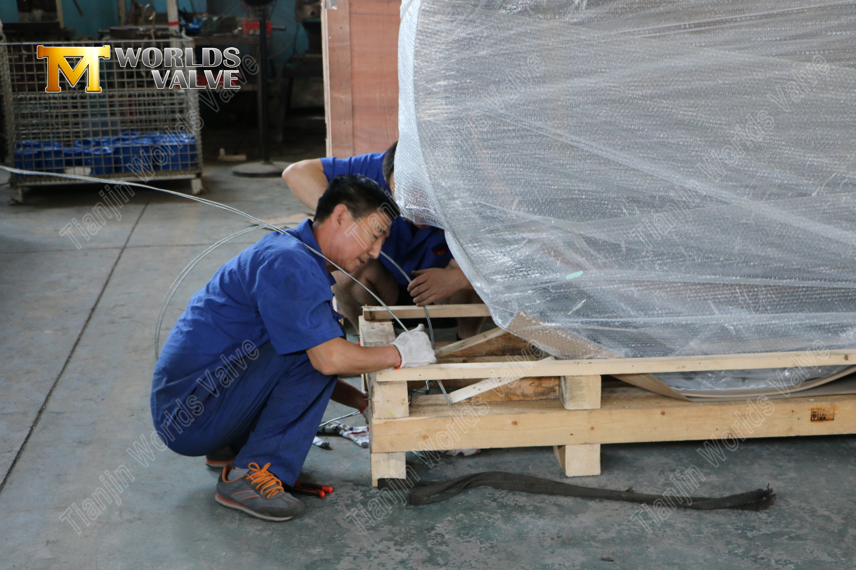 Aluminum Bronze Disc Double Flanged Butterfly Valve (4)