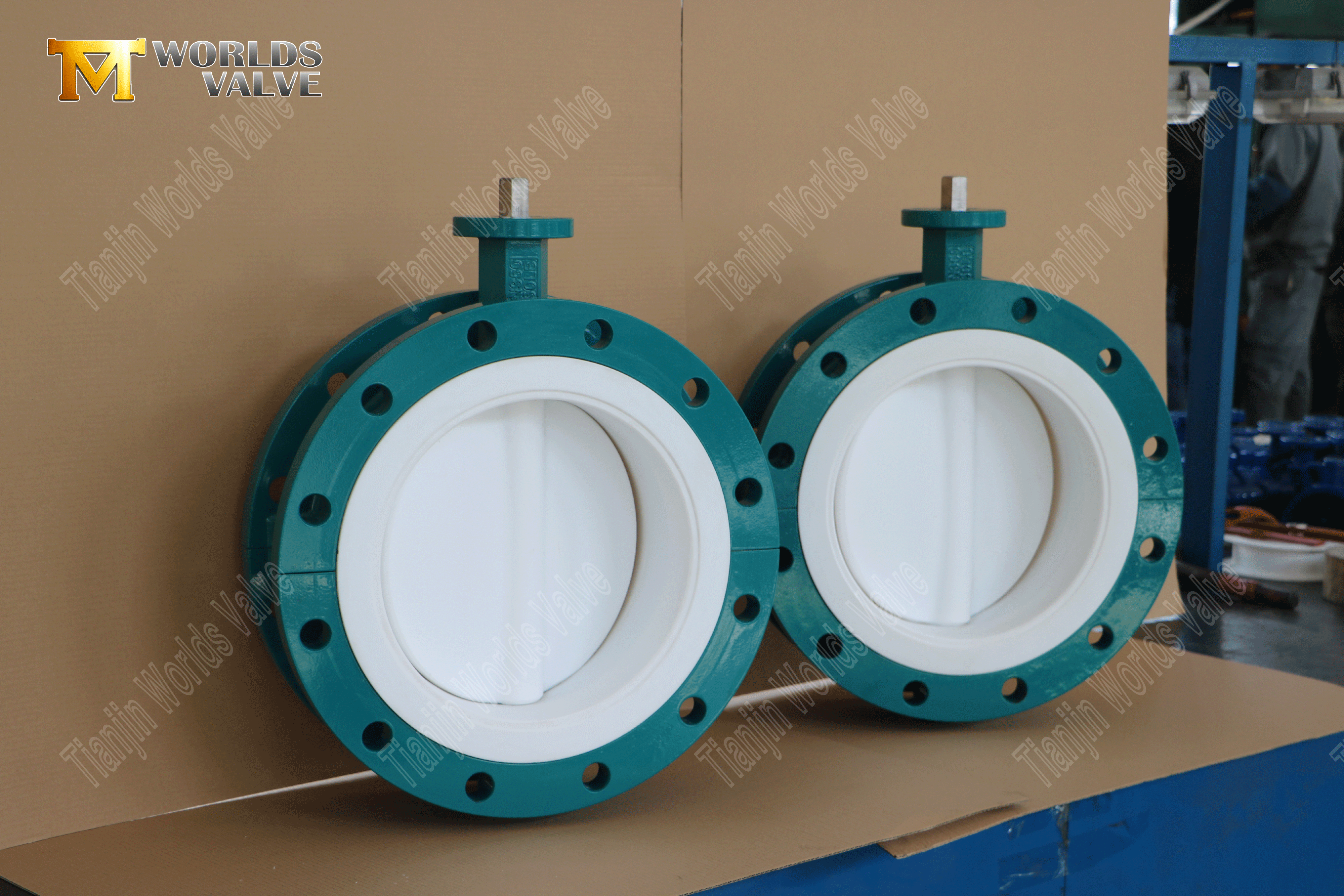 Two-Piece Flanged PTFE Butterfly Valve WCB Body & Gear Operated-1 (1).png