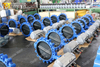 Full lugged Butterfly Valve with Halar coated disc for seawater