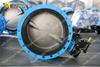 ANSI Class 150 FF RF flanged Double Flanged Butterfly Valve Bonded Rubber Seat