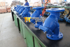 Cast Ductile Iron Y Type Strainer with Ss Screen Filter 