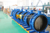 Double Flanged Butterfly Valve with Vulcanized Bonded Rubber Seat