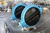 U Section Butterfly Valve with HALAR Painting Disc