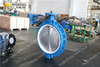 DN600 Wafer Type Butterfly Valve with PTFE Liner