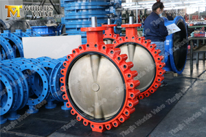 DN750 30 Inches Lug Butterfly Valve with Aluminium Bronze Disc