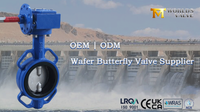 //ikrorwxhnjoklo5p-static.micyjz.com/cloud/ljBprKiklmSRqlriknmoiq/Two-Shaft-Wafer-Butterfly-Valve-CF8-Disc-EPDM-Seat-Worm-Gear-Operated.png