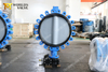 Concentric lugged type Rubber Lining Nylon coated disc butterfly valve with Tapped Hole