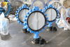 Nylon coating Disc Lugged Butterfly valves with Gearbox Operator