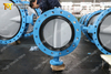 Nylon Coating Disc Double U-section Flanged Butterfly Valve with Loose Liner Seat