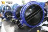 Halar Epoxy Coating FBE Coated Double Flanged Butterfly Valve