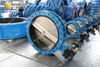 Double Flanged U Type Butterfly Valves API609 Class150 150lb 