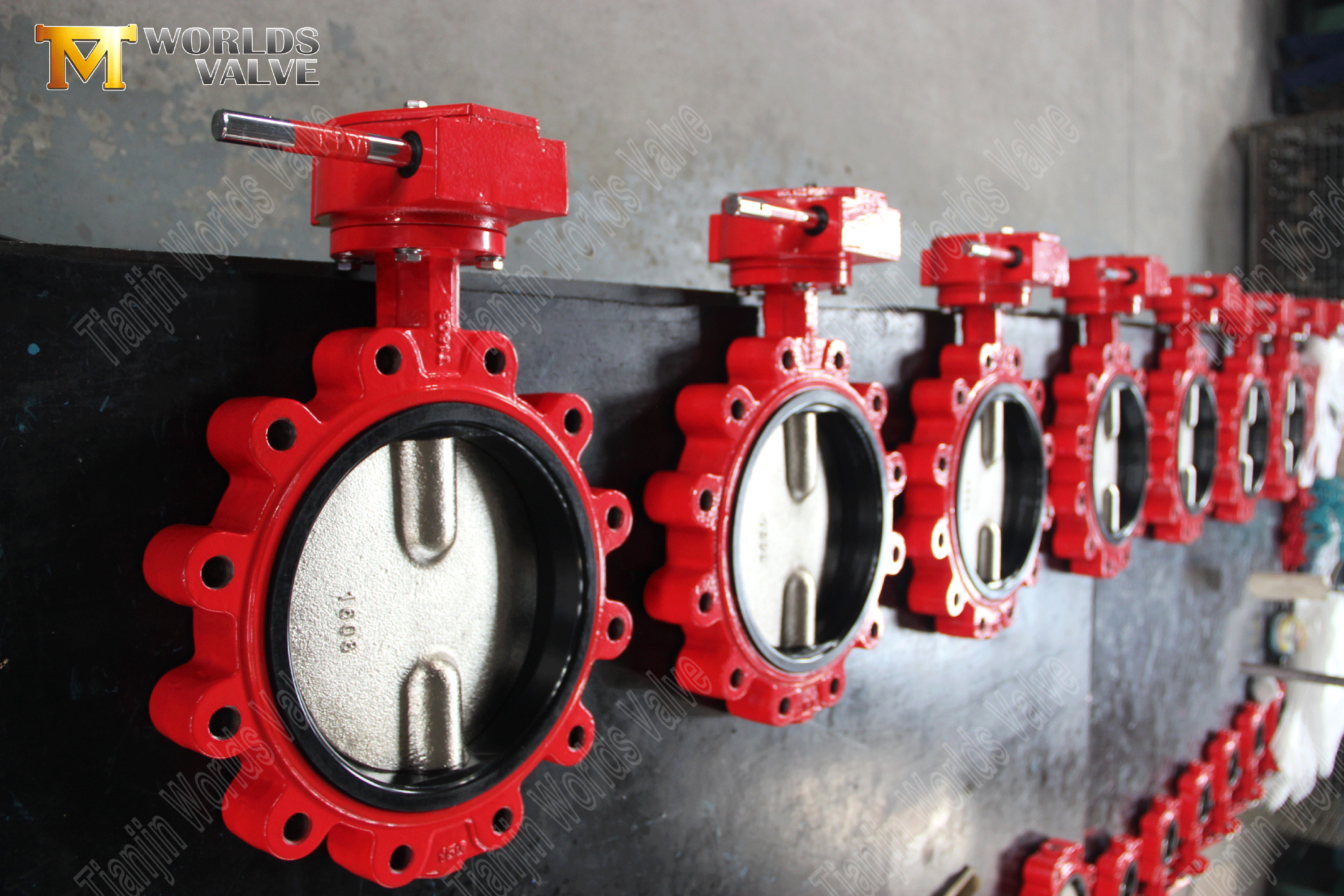 Split-Shaft Pinless Lug Type Butterfly Valve-2 (2)