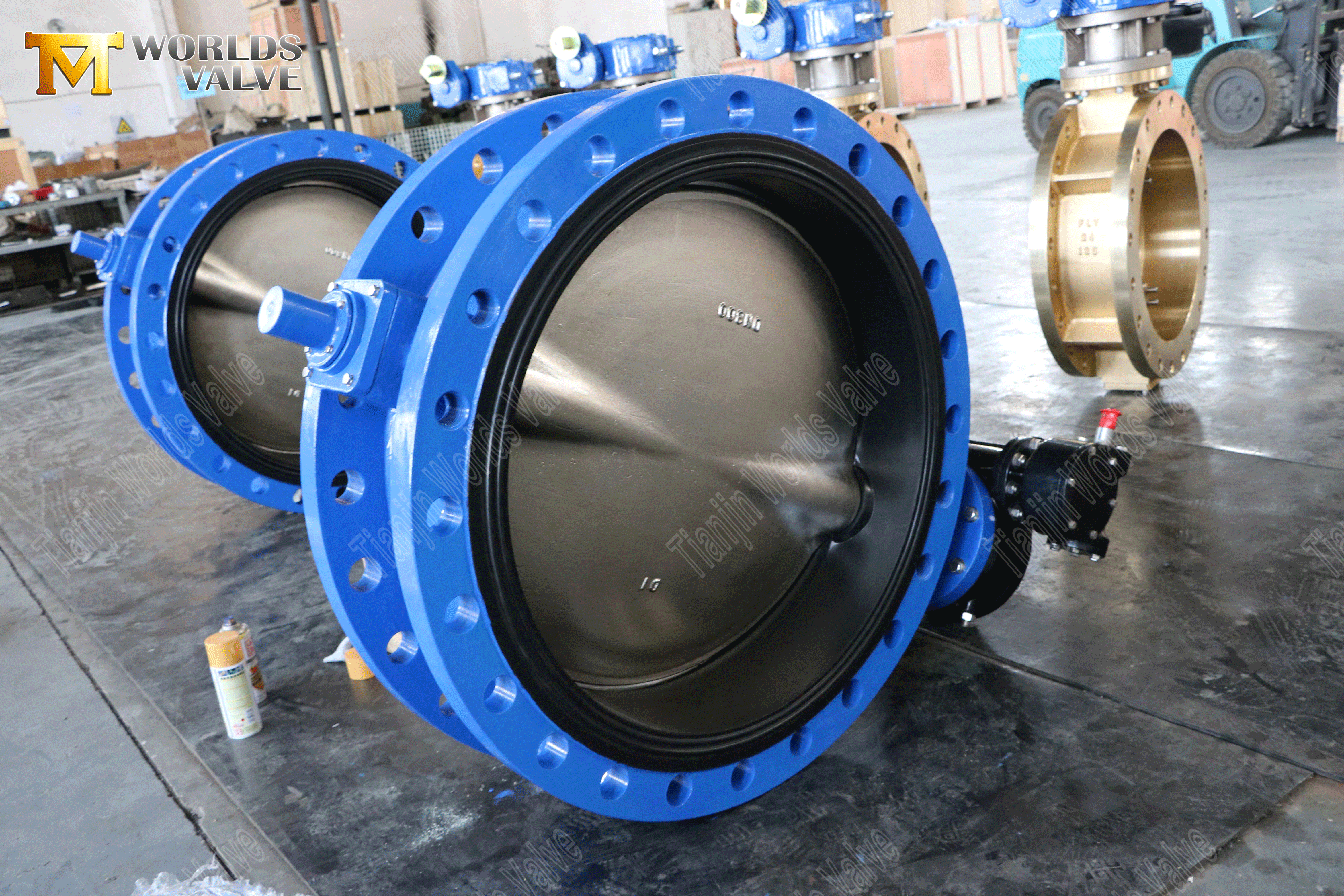 Butterfly Valve Manufacturers - Resilient Seated Double Flanged Butterfly Valve (1)