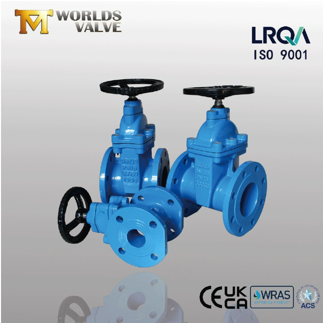 How Does A Resilient Seated Gate Valve Actually Work?