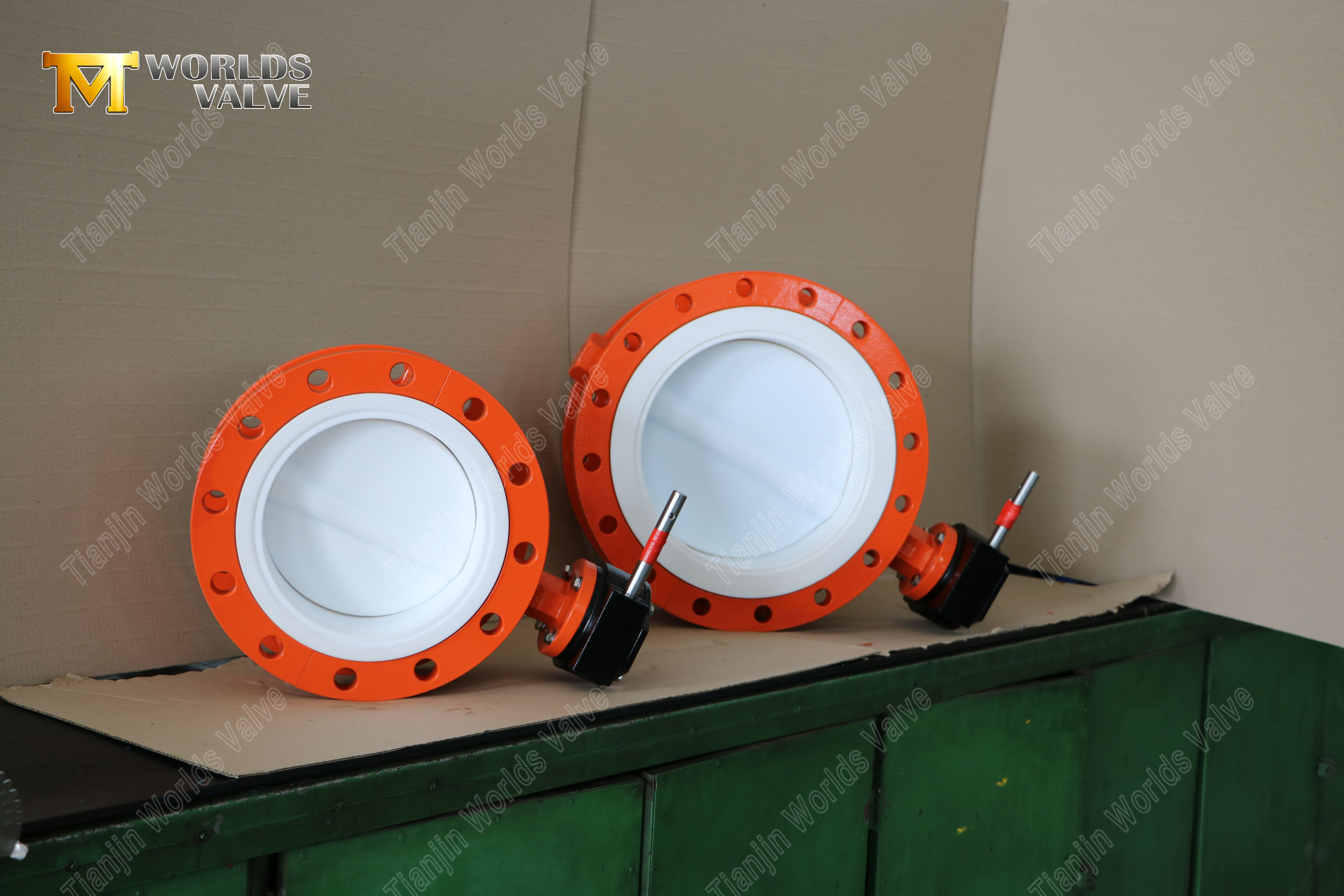 PTFE Lined Flanged Butterfly Valves-1 (1)